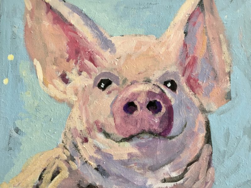 Piggy 11 x 14, acrylic on canvas 