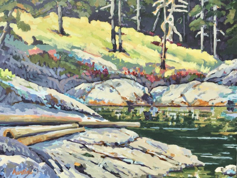 Rocks at Caulfeild – SOLD 16 x 20, acrylic on canvas 