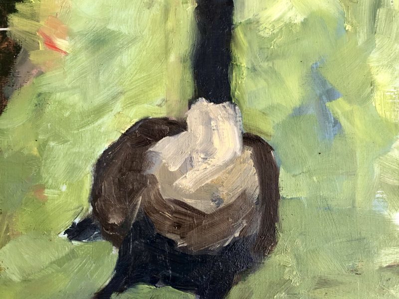 Canada Goose-SOLD 8 x 10, oil on board 