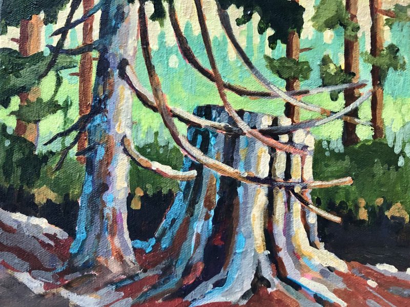 Cypress Friends – Sold 8 x 10, acrylic on canvas 