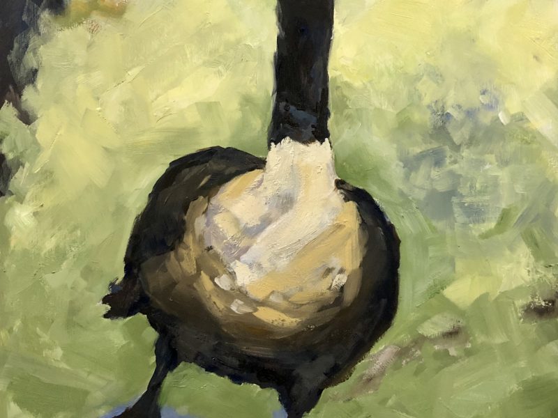 Long Black Neck, SOLD 11 x 14, oil on cradled panel