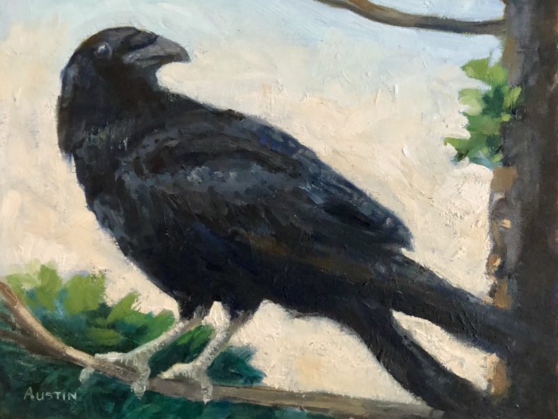 The Crow 8 x 10, oil on cradled panel