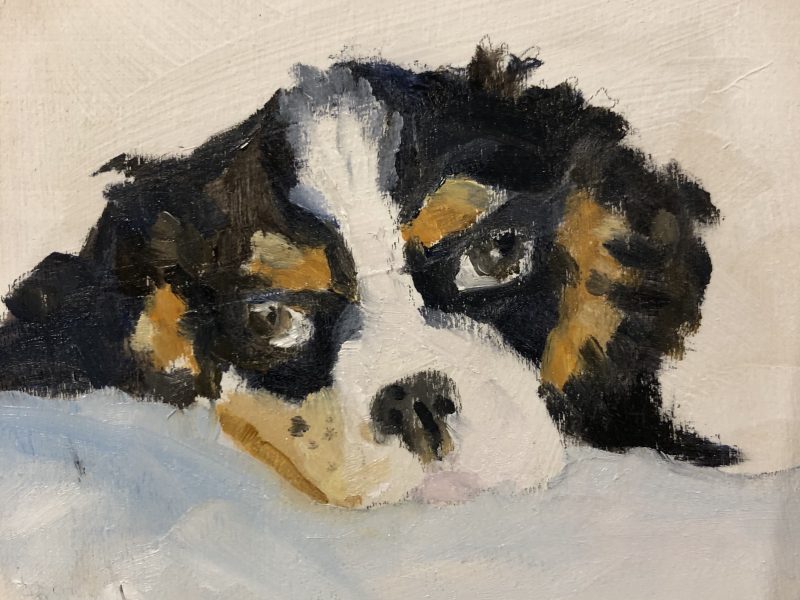 King Charles Spaniel – SOLD 4 x 4, oil on panel