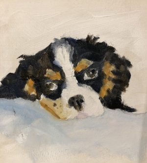 King Charles Spaniel – SOLD 4 x 4, oil on panel
