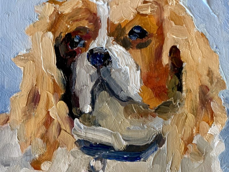 Dutchess – SOLD 4 x 4, oil on panel