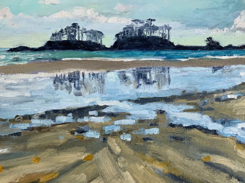 <span class="entry-title-primary">Chesterman Beach, Tofino</span> <span class="entry-subtitle">8 x 10, oil on board</span>