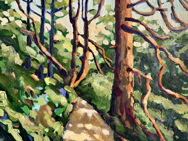 <span class="entry-title-primary">Forest Light</span> <span class="entry-subtitle">8 x 10, oil on board</span>