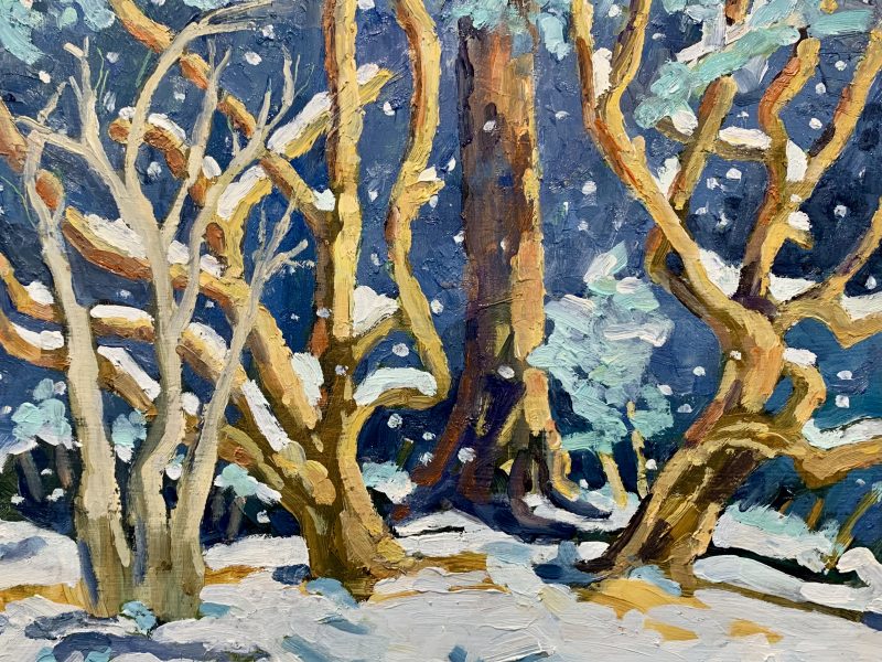 Tangled Winter 8 x 10, oil on board