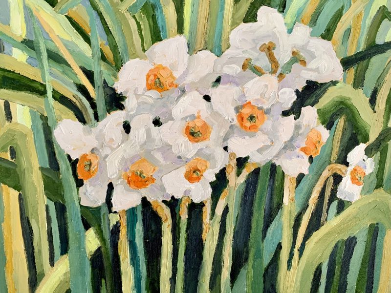 Narcissus 8 x 10, oil on board