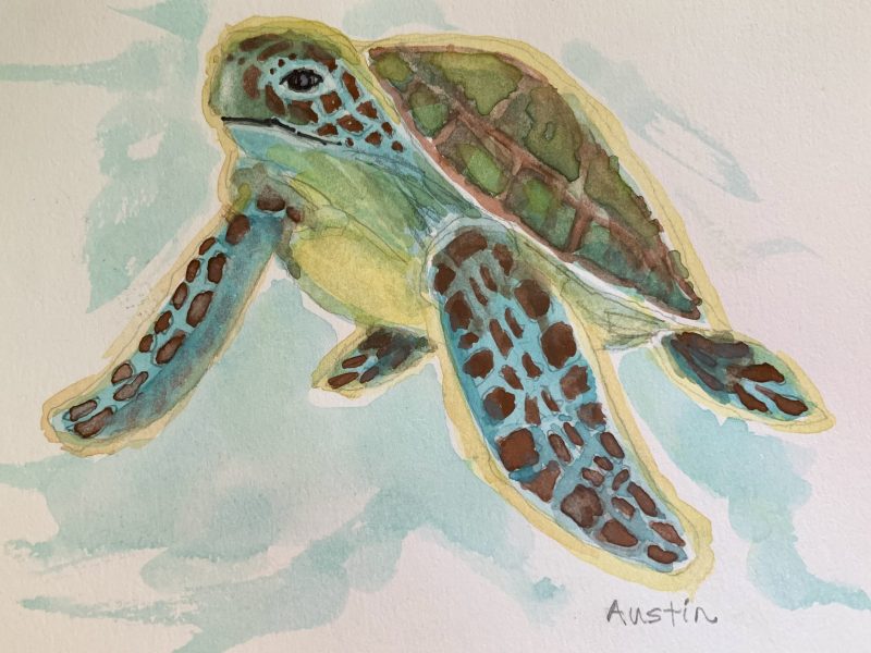<span class="entry-title-primary">Turquoise Water Turtle – SOLD</span> <span class="entry-subtitle">4 x 5, watercolour on paper</span>
