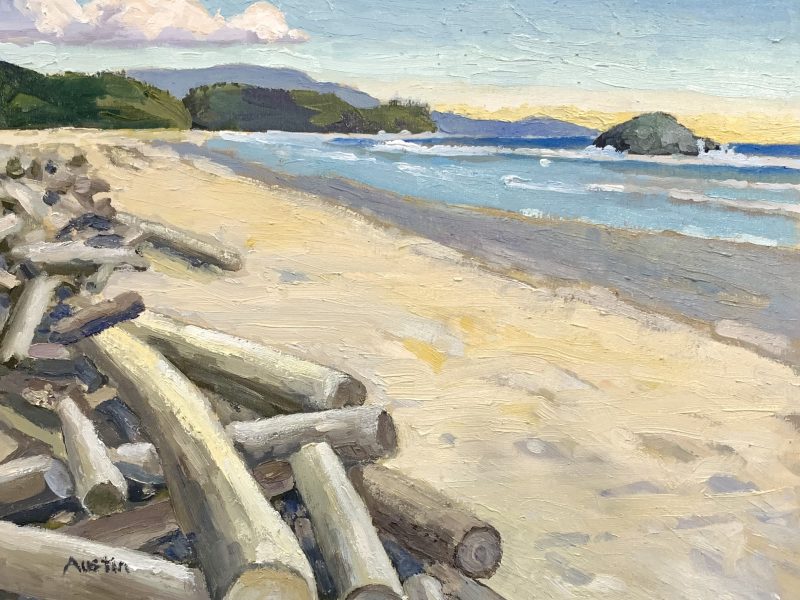 <span class="entry-title-primary">Long Beach, Tofino</span> <span class="entry-subtitle">8 x 10, oil on board</span>