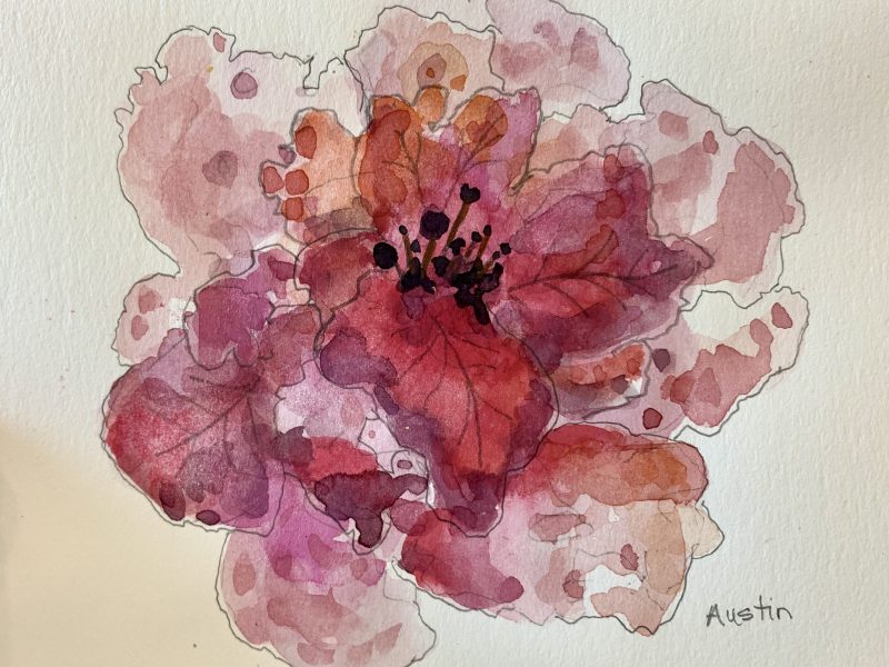 Azalea 4 x 6, watercolour on paper