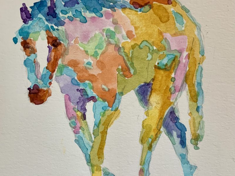 <span class="entry-title-primary">A Horse of Many Colours</span> <span class="entry-subtitle">4 x 6 watercolour on paper</span>