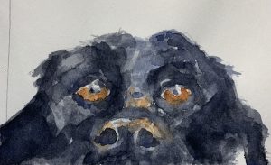 Tell Me… 4 x 6, watercolour on paper