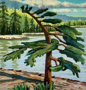 Iconic Coastal Tree 30 x 30, acrylic on canvas