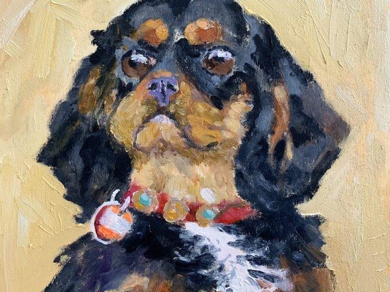 <span class="entry-title-primary">Queenie – SOLD</span> <span class="entry-subtitle">6x6, oil on cradled panel</span>