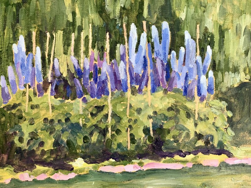 Delphiniums – SOLD 8 x 10, oil on canvas board